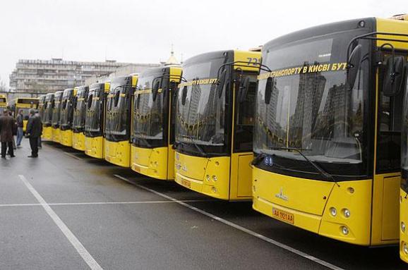 Депутаты хотят ввести обязательное страхование ответственности водителей общественного транспорта