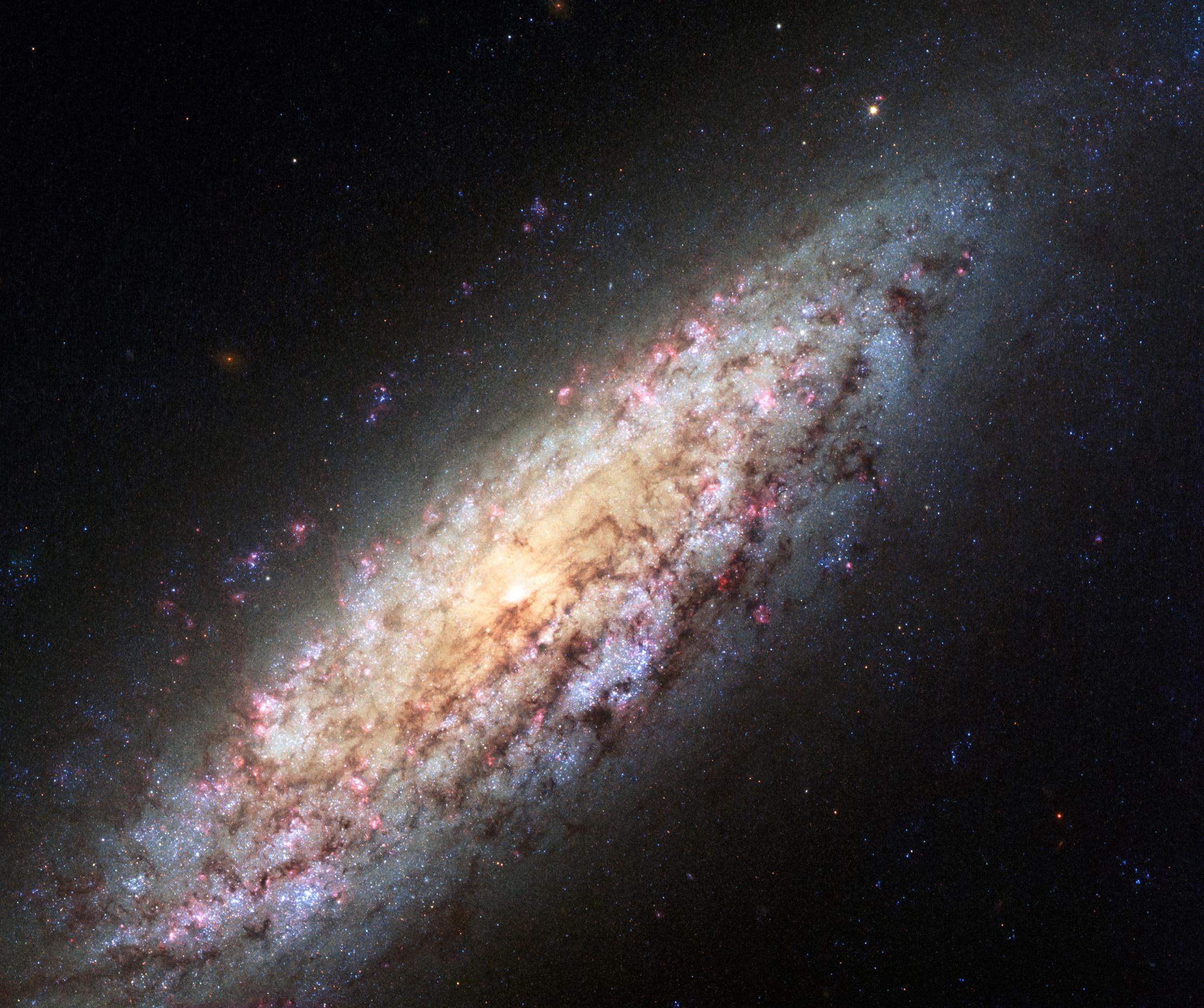 Галактика NGC 6503 