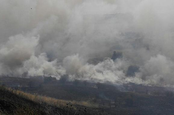 У Коблево горить 40 га трави