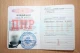Затриманий терорист "ДНР" знімав на відео свою стрільбу з міномета по українських військових