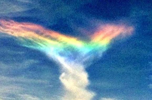 Фотофакт: У небі Південної Кароліни з'явилась веселка у вигляді ...