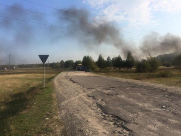 бурштинокопачі, волинь