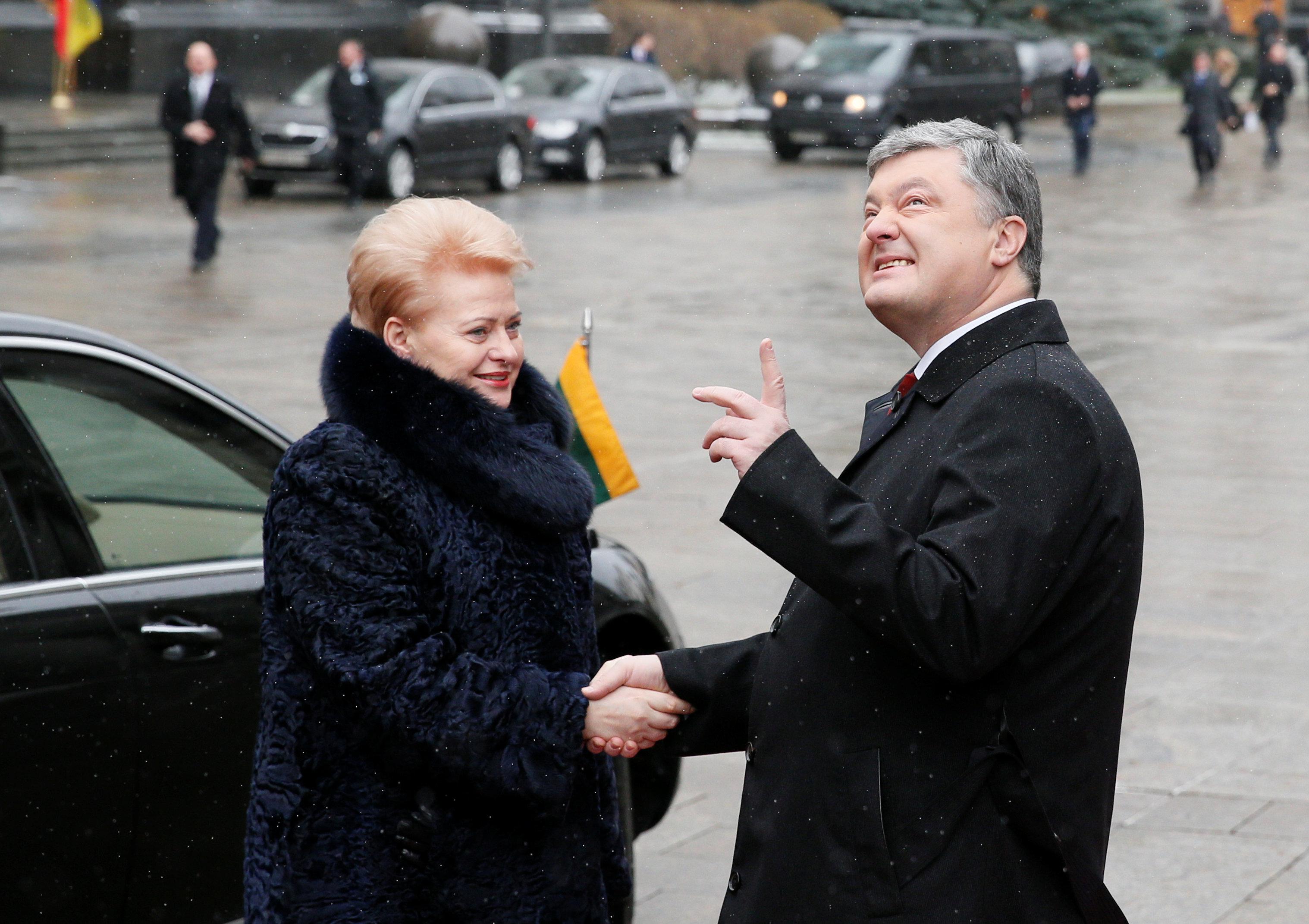 Президенты Петр Порошенко и Даля Грибаускайте
