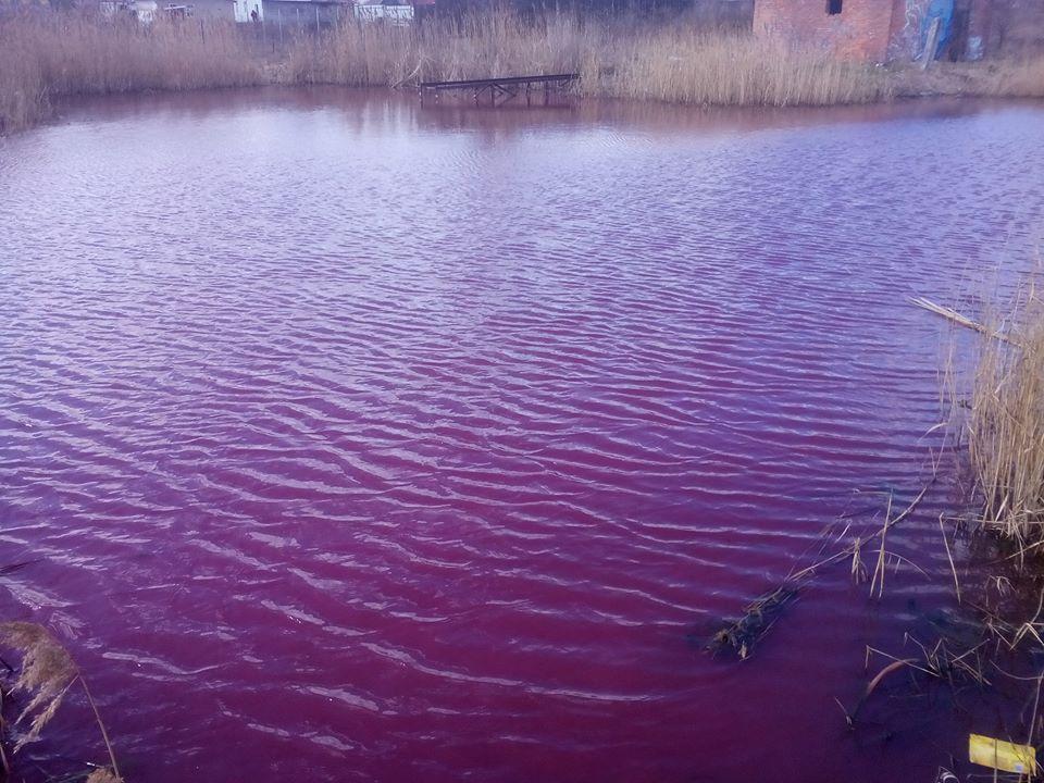 Вода стала розовой. Розовая река. Розовый пруд. Цветные водоёмы. Розовый водоем.