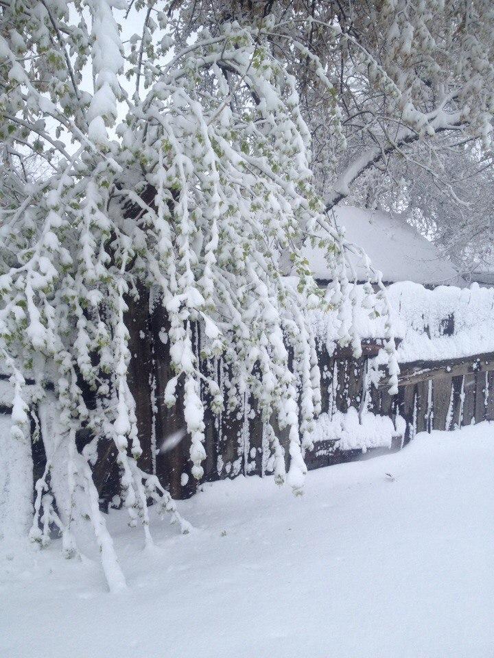 Харків сніг