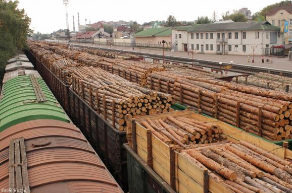 Украина незаконно вывозит лес в Европу поставщикам Ikea и H&M ...