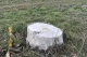 Пень не пофарбований білою фарбою, він поглинув сіль