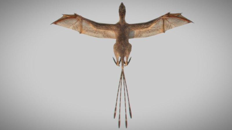 С перьями и крыльями, как у летучих мышей: ученые представили новый виддинозавров
