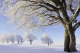 ілюстративне
