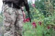 иллюстративное
