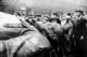 Повалений пам'ятник Сталіну. Будапешт, 1956 рік