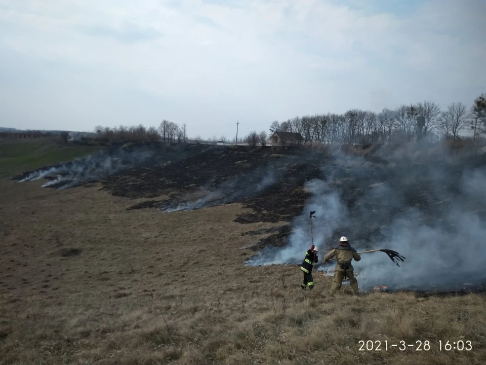 на Київщині почали спалювати траву