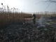 на Київщині почали спалювати траву