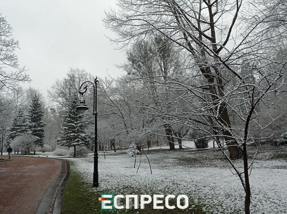 сніг у Львові