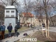 дерева у Львові