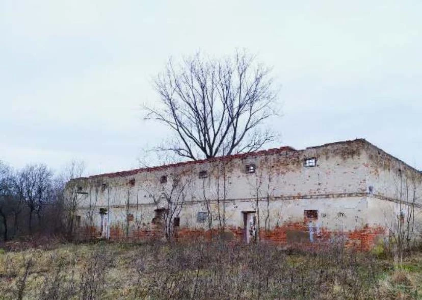 дерево