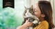 Purina Nestle