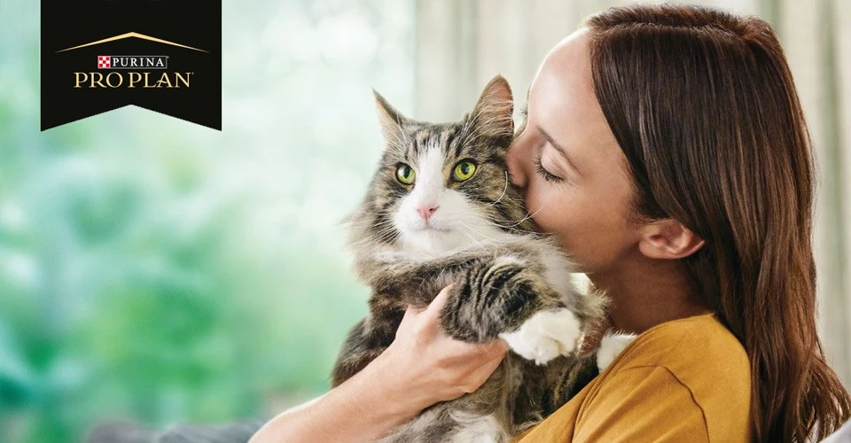 Purina Nestle