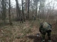 пошуки