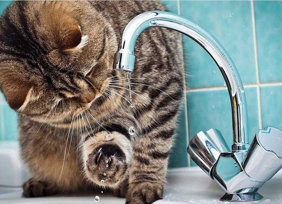 відсутність води
