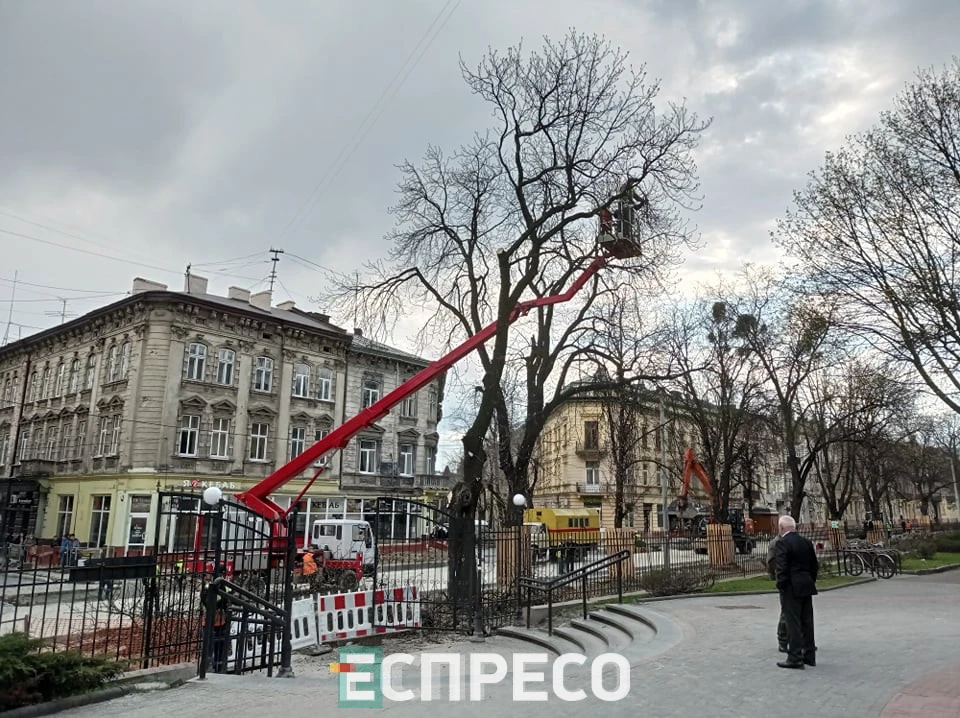 дерева