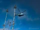 Авіація флоту відпрацювала знищення морських цілей в ході навчань на узбережжі
