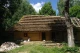 Шевченківський гай