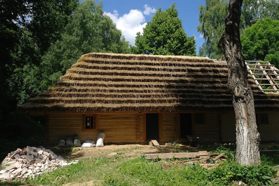 Шевченківський гай