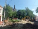 зрізані дерева на бандери
