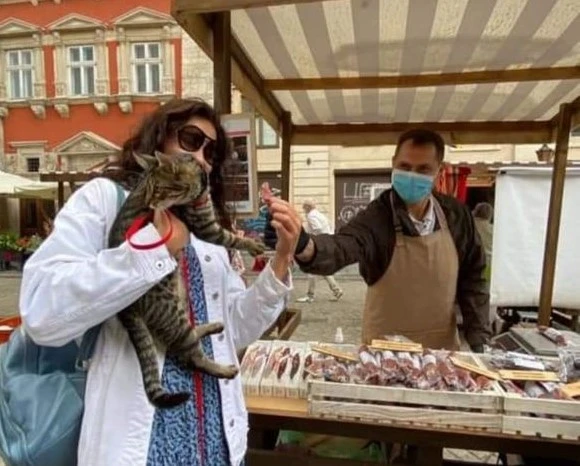 фермерський ярмарок