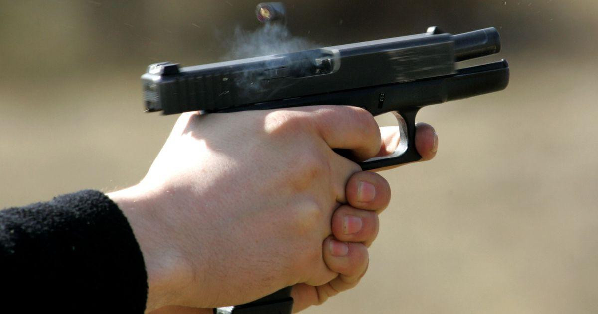 Закон про володіння зброєю дуже гарно відрегульований: польський політик Чех про досвід Польщі