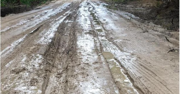 дорога