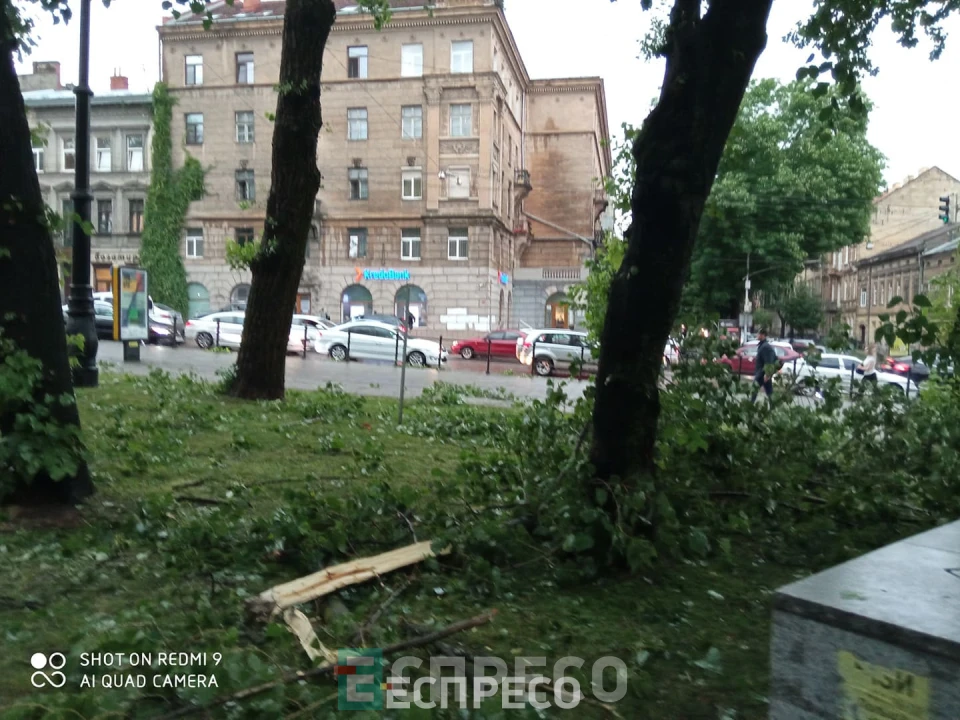 буревій у Львові