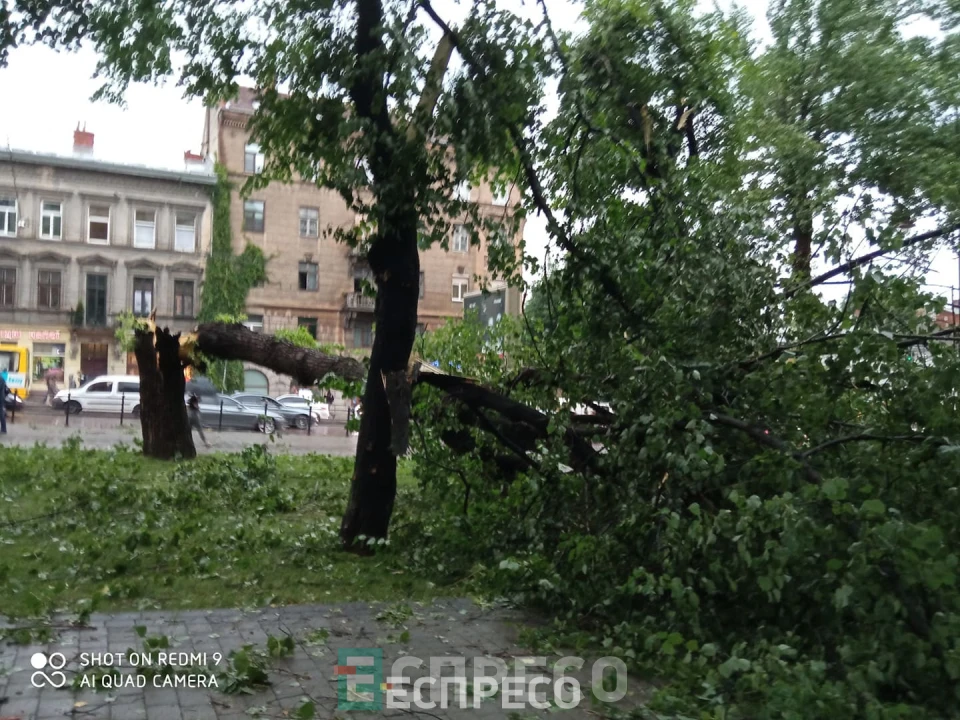 буревій у Львові