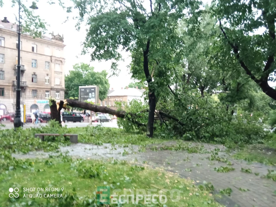 буревій у Львові