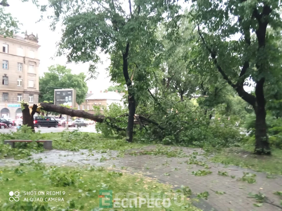 буревій у Львові