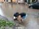 буревій у Львові
