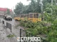 буревій у Львові