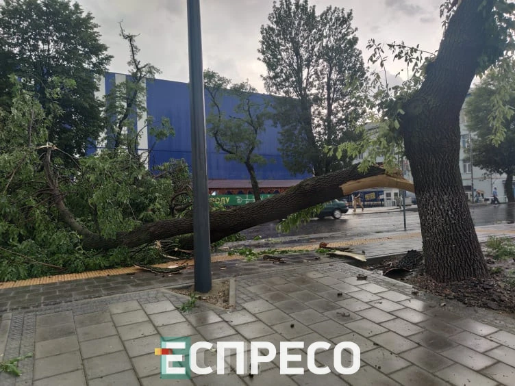 буревій у Львові