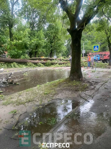буревій у Львові
