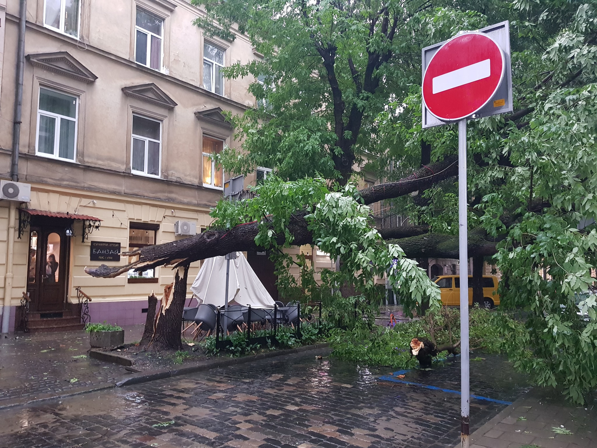 Вулиця Чайковського перекрила зламаним деревом. Фото: Facebook Василя Хомина