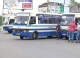 приміські маршрутки львівщини