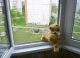 вікно_дитина
