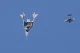 Космоліт Unity