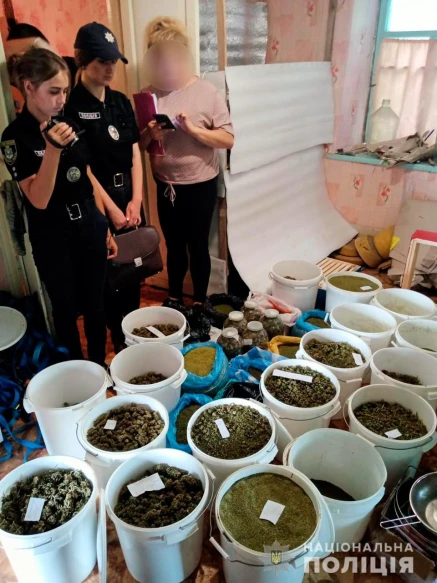 Вилучили близько 40 кг канабіса: на Миколаївщині затримали чоловіка, який вирощував коноплю