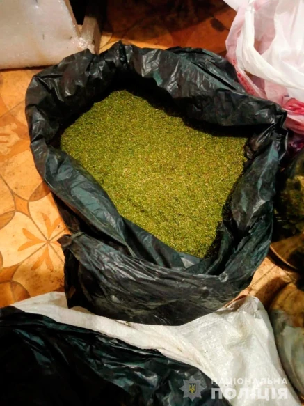 Вилучили близько 40 кг канабіса: на Миколаївщині затримали чоловіка, який вирощував коноплю