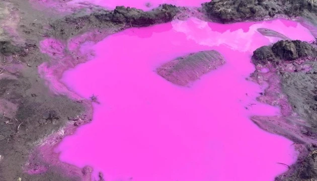 На Ровенщине обнаружили лужи с розовой водой