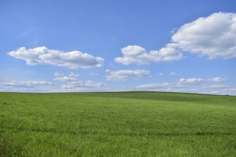 погода_літо