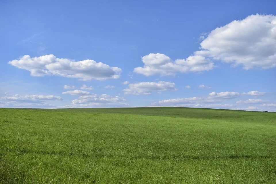 погода_літо