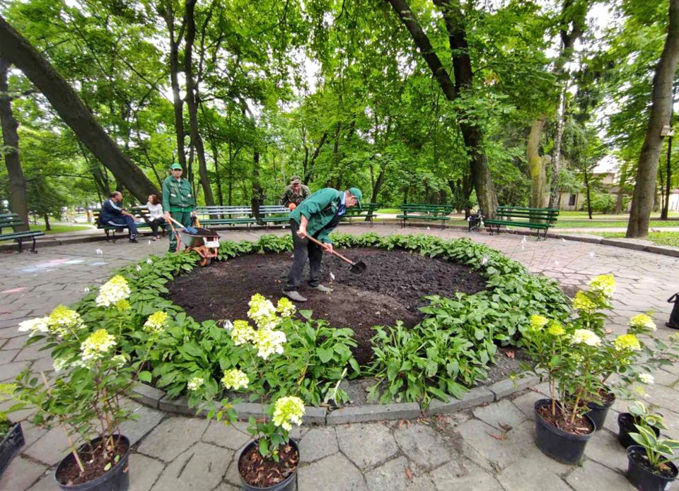 квіткова клумба